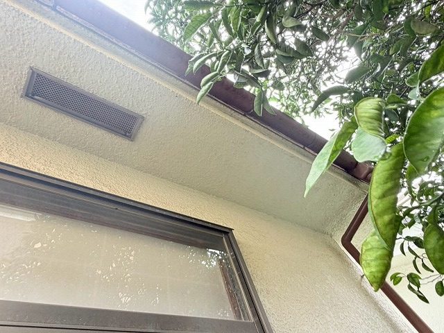 軒天に付着した汚れ