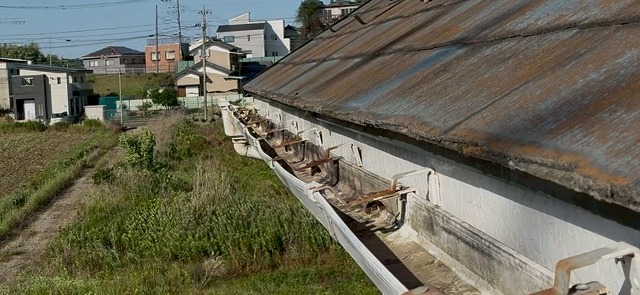 雨樋歪み