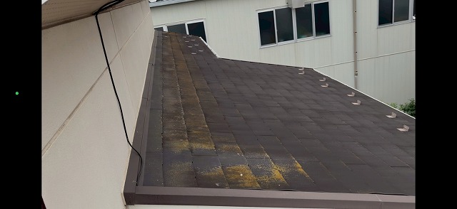 越谷市でスレート屋根点検。防水性低下による黄色いコケ発生と今後の維持計画