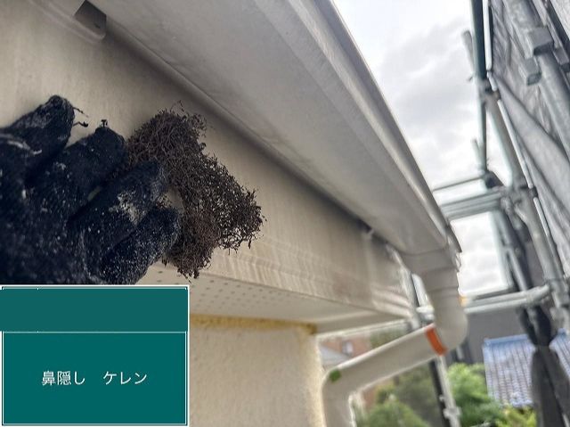 鼻隠しケレン